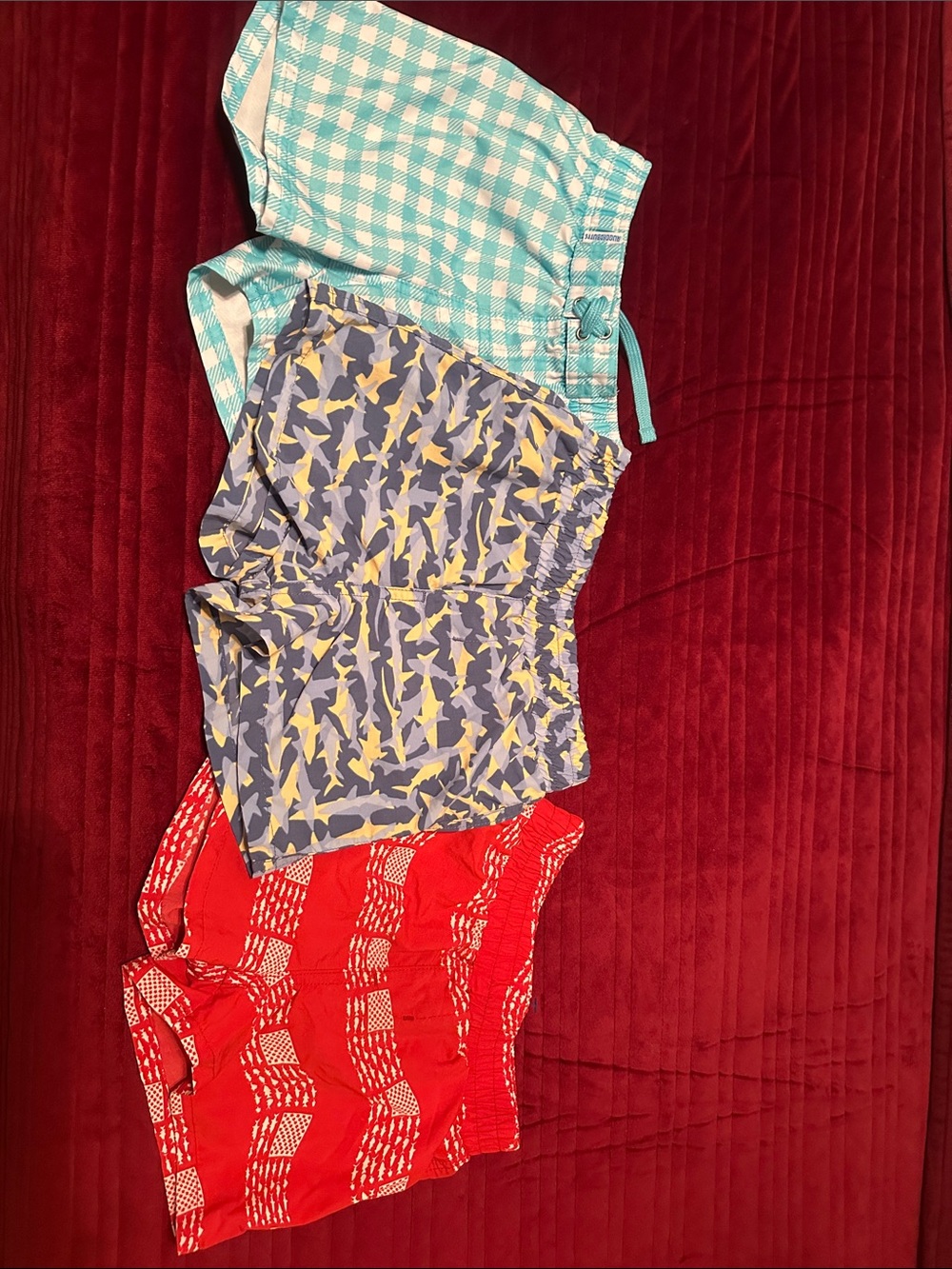 Boys Blue Gingham, Shark, and Red flag Columbia and rugged butts swim trunks 2T